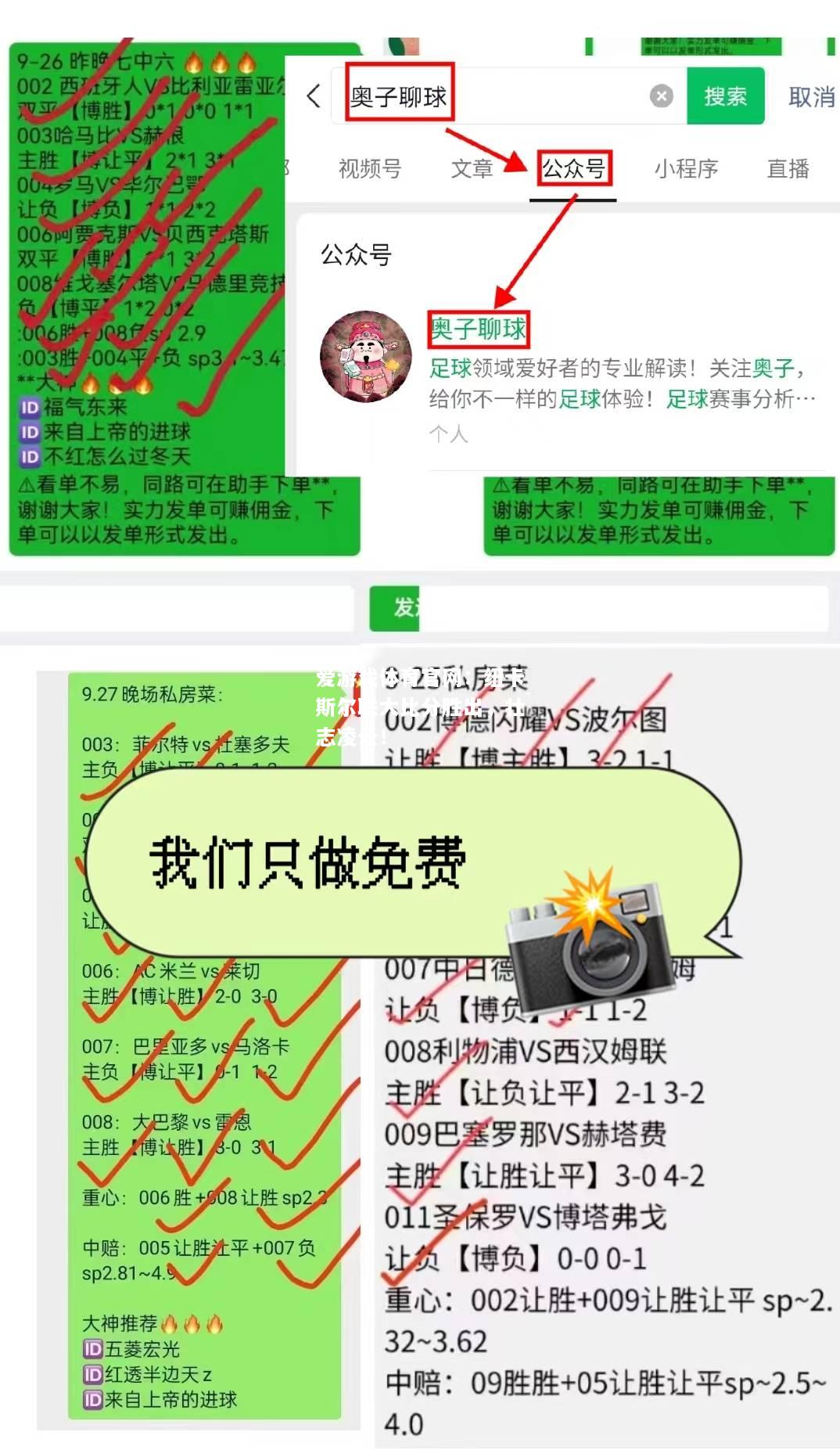 爱游戏体育官网：纽卡斯尔联大比分胜出，壮志凌云！