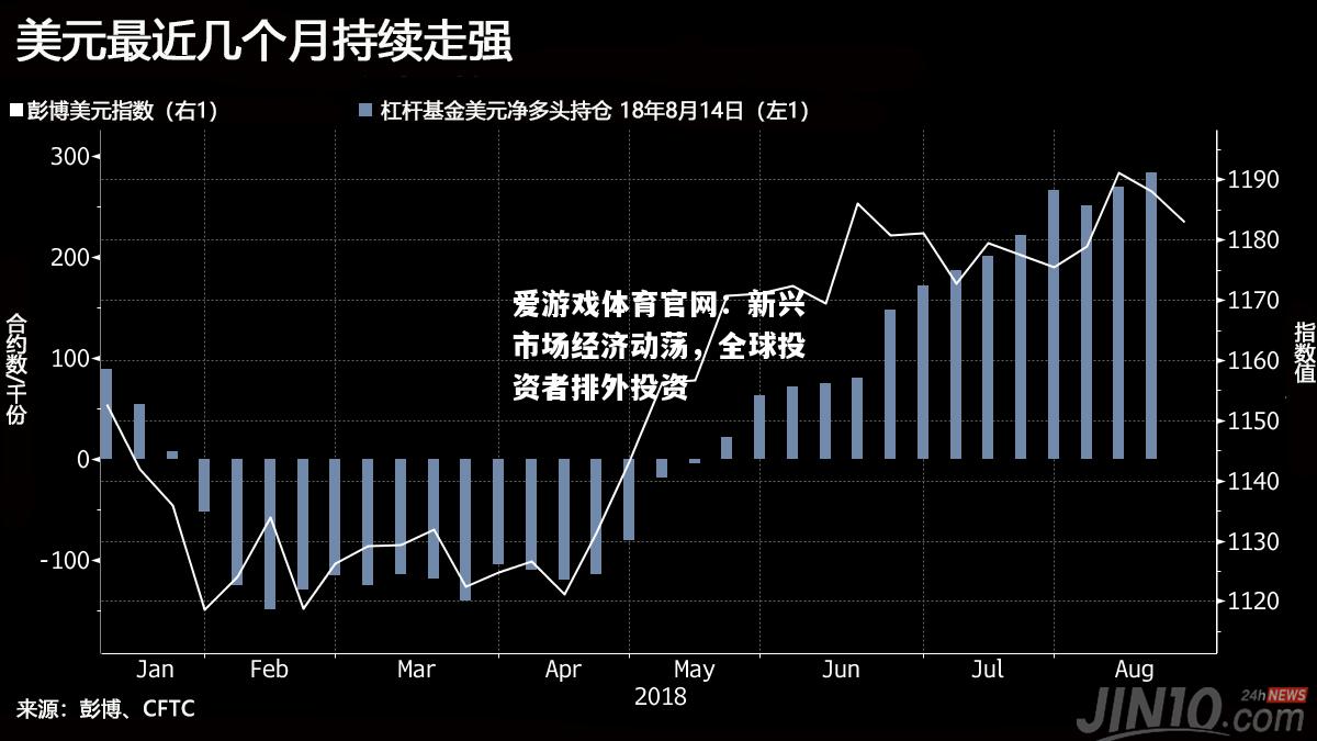 新兴市场经济动荡，全球投资者排外投资